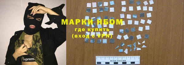 индика Чекалин