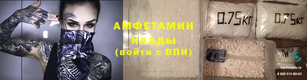 индика Чекалин
