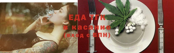 индика Чекалин