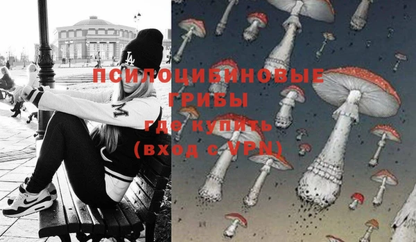 эйфоретик Грязи