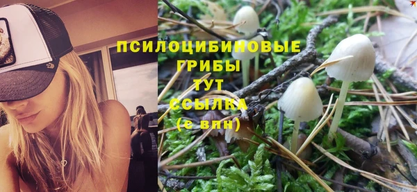 прущий лед Покровск