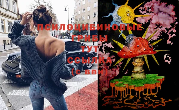 прущий лед Покровск