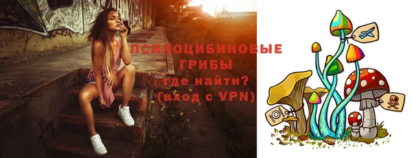 индика Чекалин