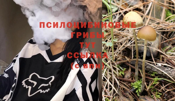 прущий лед Покровск