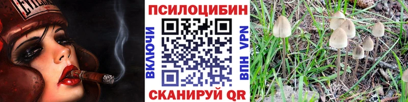 Псилоцибиновые грибы Magic Shrooms  Армянск 